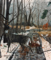 Images/Portfolio/Paintings/DeerSMLCROP.jpg