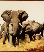 Images/Portfolio/Paintings/ElephantsmlCROP.jpg
