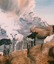Images/Portfolio/Paintings/King_of_the_mountainSMLCrop.jpg