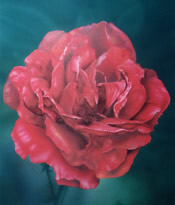 Images/Portfolio/Paintings/Rose-AirbrushSMLCROP.jpg